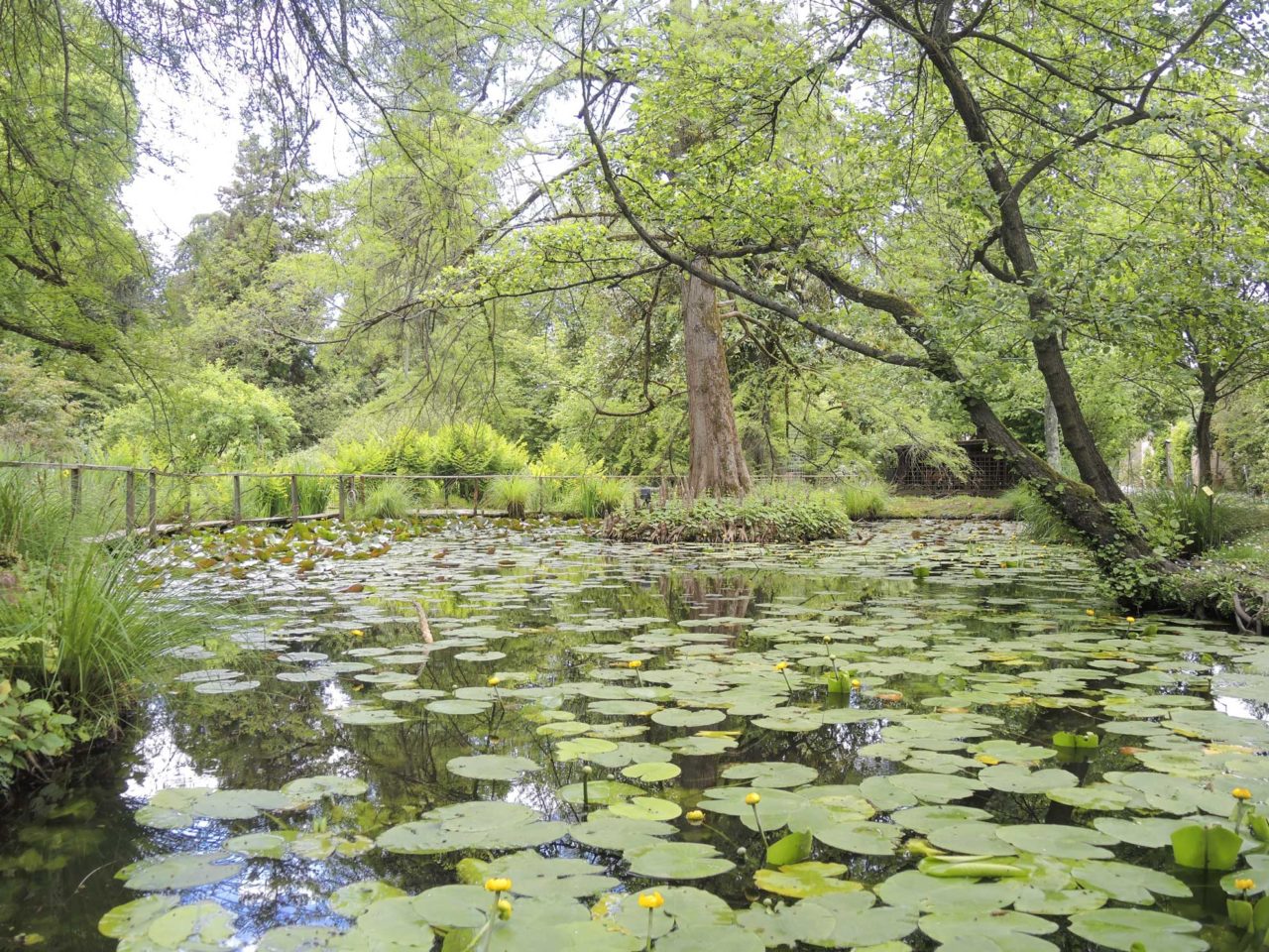 Orto Botanico a Lucca